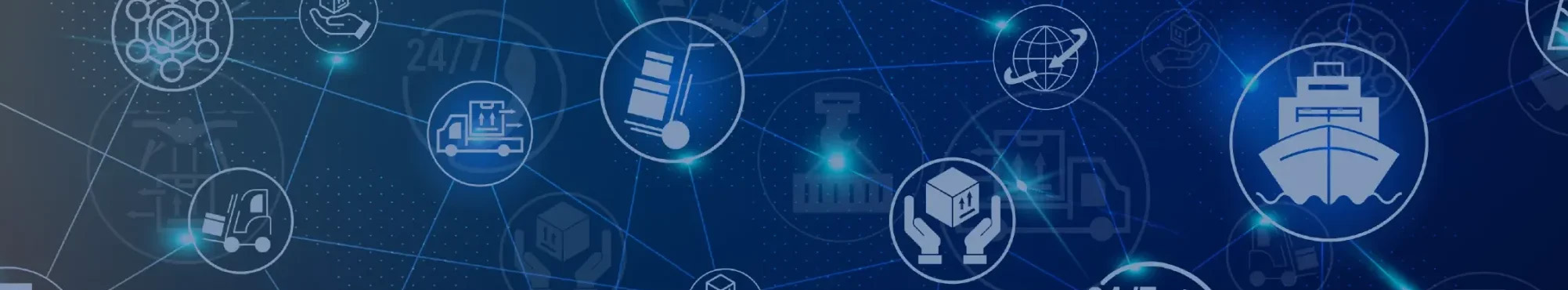 Systems Integrators (v)