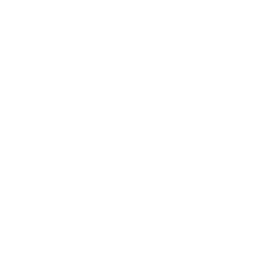 Systems Integrators